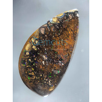 Koroit Nut Matrix Opal
