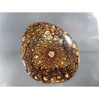 Koroit Nut Matrix Opal