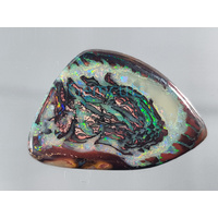 Koroit Nut Matrix Opal