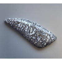 Dinosaur Bone Freeform Cabochon