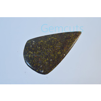 Dinosaur Bone Freeform Cabochon
