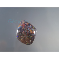 Koroit Nut Matrix Opal