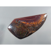 Koroit Nut Matrix Opal