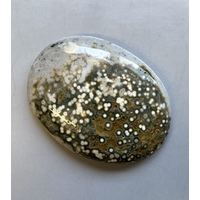 Ocean Jasper Freeform Cabochon