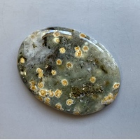 Ocean Jasper Freeform Cabochon