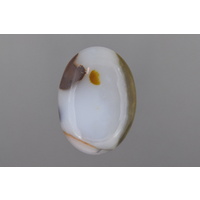 Polka Dot Agate Oval Cabochon