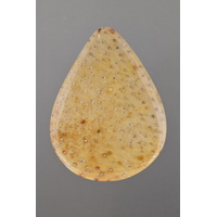 Fossilised Tree Fern Freeform Cabochon