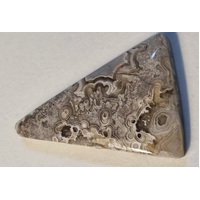 Crazy Lace Agate Freeform Cabochon
