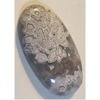 Crazy Lace Agate Freeform Oval Cabochon