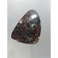 Koroit Nut Matrix Opal Picture Stone