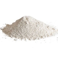 Cerium Oxide Powder - White