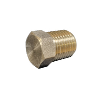 Brass End Plug 1/4 BSPT