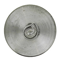 Impression Die Bezel Shell