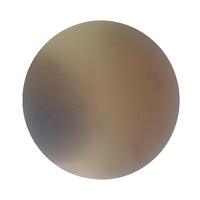 Steel Backing Plates for Magnetic Disks - 200mm (8 inch) - with PSA