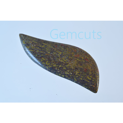 Dinosaur Bone Freeform Cabochon