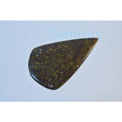 Dinosaur Bone Freeform Cabochon
