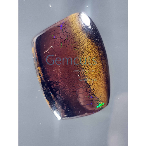 Koroit Nut Matrix Opal