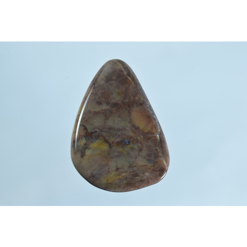 Butterfly Jasper Freeform Cabochon