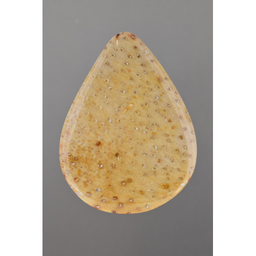 Fossilised Tree Fern Freeform Cabochon