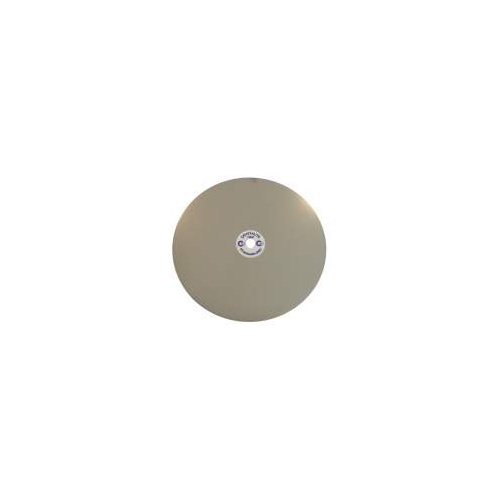 Standard Diamond Lap 200mm (8 inch)  100 Grit