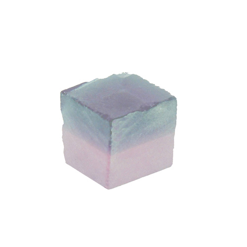 Cristinite Bi-Colour - Lilac and Pink Rose